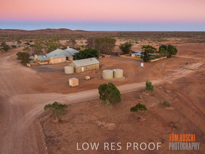 WERTALOONA_SA_200113_108