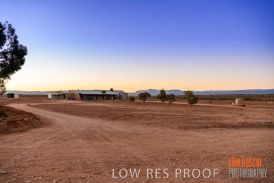 WERTALOONA_SA_200113_113