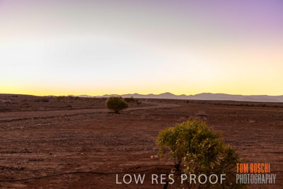 WERTALOONA_SA_200113_119