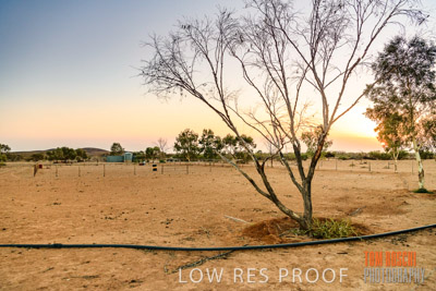 WERTALOONA_SA_200114_157