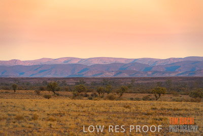 WERTALOONA_SA_200114_166