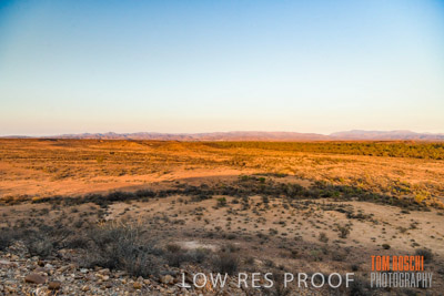 WERTALOONA_SA_200114_170