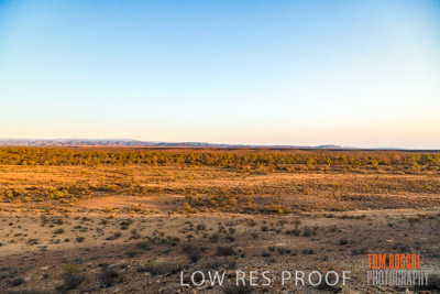 WERTALOONA_SA_200114_173