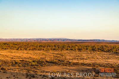 WERTALOONA_SA_200114_174