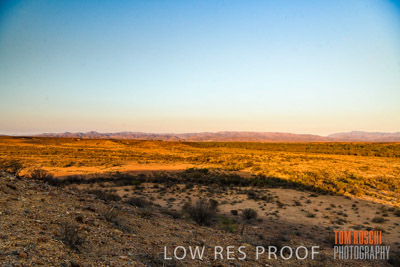 WERTALOONA_SA_200114_175