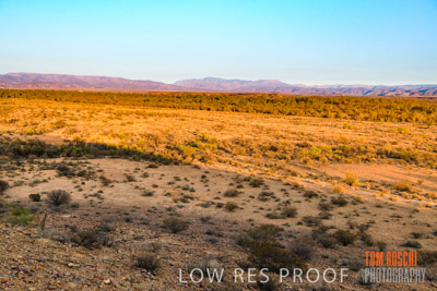 WERTALOONA_SA_200114_176