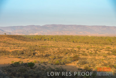 WERTALOONA_SA_200114_177