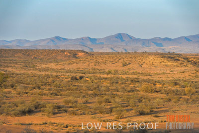 WERTALOONA_SA_200114_179