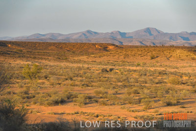 WERTALOONA_SA_200114_180