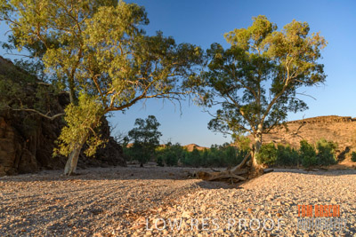 WERTALOONA_SA_200114_183