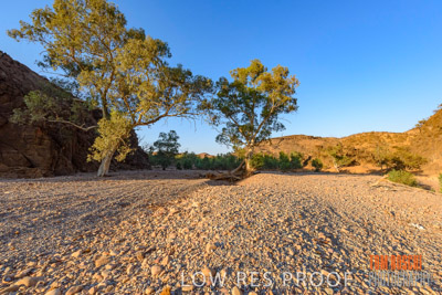 WERTALOONA_SA_200114_184