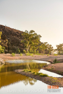 WERTALOONA_SA_200114_186