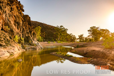 WERTALOONA_SA_200114_188