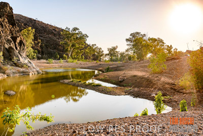 WERTALOONA_SA_200114_191