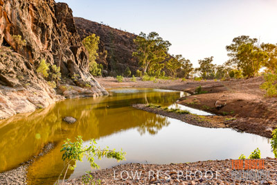 WERTALOONA_SA_200114_192