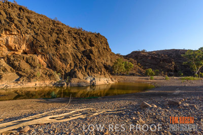 WERTALOONA_SA_200114_193