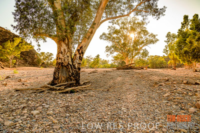 WERTALOONA_SA_200114_197