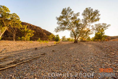 WERTALOONA_SA_200114_198