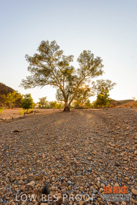 WERTALOONA_SA_200114_199