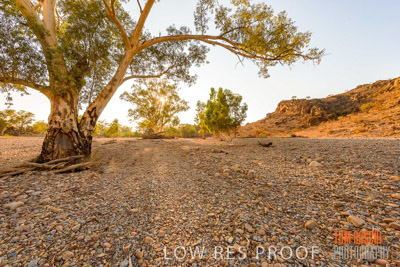 WERTALOONA_SA_200114_201