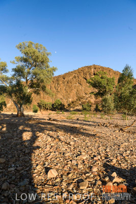 WERTALOONA_SA_200114_203