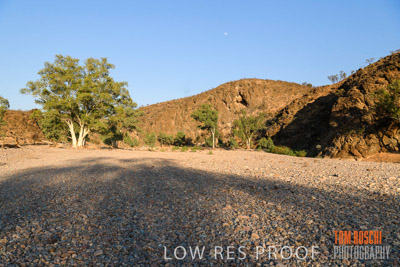 WERTALOONA_SA_200114_205