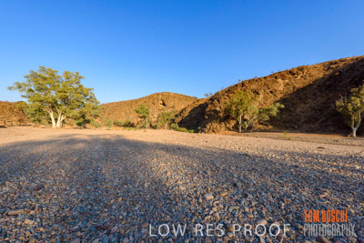 WERTALOONA_SA_200114_206