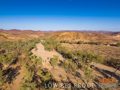 WERTALOONA_SA_200114_215