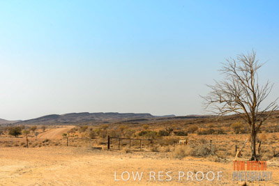 WERTALOONA_SA_200114_224