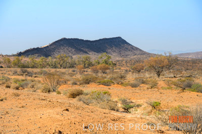 WERTALOONA_SA_200114_228