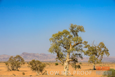 WERTALOONA_SA_200114_256