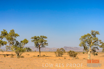 WERTALOONA_SA_200114_257