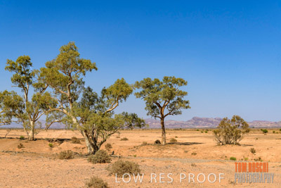 WERTALOONA_SA_200114_258