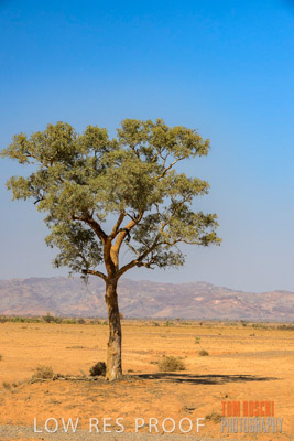 WERTALOONA_SA_200114_260