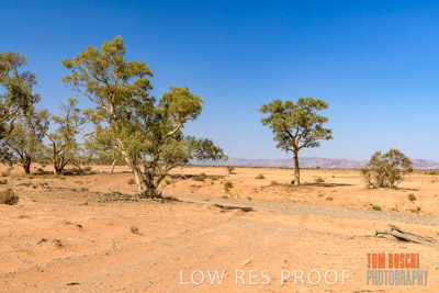 WERTALOONA_SA_200114_261