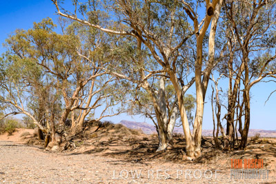 WERTALOONA_SA_200114_269