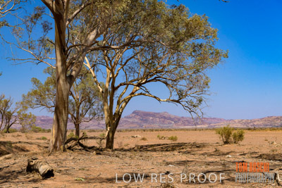 WERTALOONA_SA_200114_271