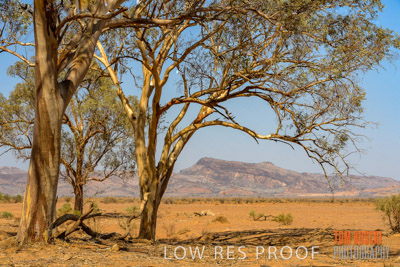 WERTALOONA_SA_200114_272