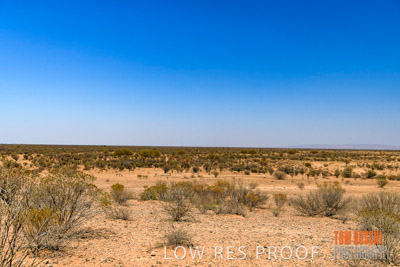 WERTALOONA_SA_200114_277