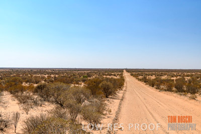 WERTALOONA_SA_200114_279