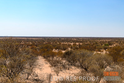 WERTALOONA_SA_200114_280