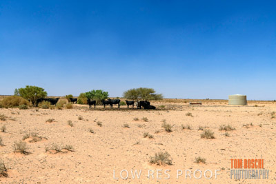 WERTALOONA_SA_200114_284