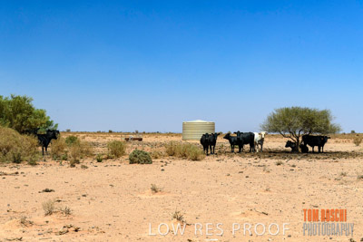 WERTALOONA_SA_200114_287