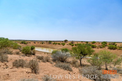 WERTALOONA_SA_200114_289