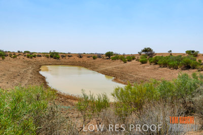 WERTALOONA_SA_200114_291