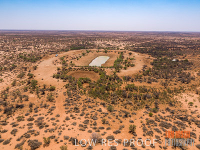 WERTALOONA_SA_200114_294