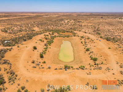 WERTALOONA_SA_200114_299