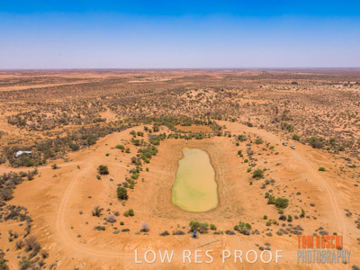 WERTALOONA_SA_200114_300