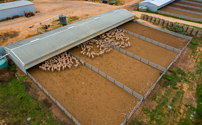 June 2020 / GLENRAE_0039