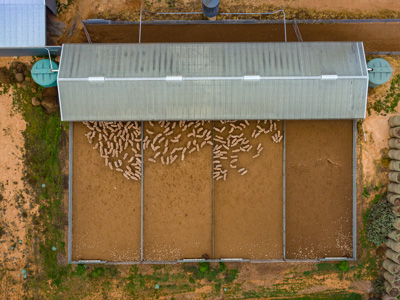 June 2020 / GLENRAE_0046